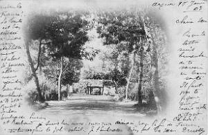ARZEW Jardin public 1903